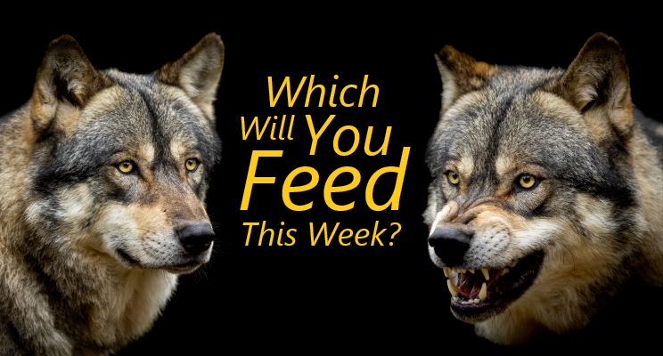 Which Will You Feed This Week?